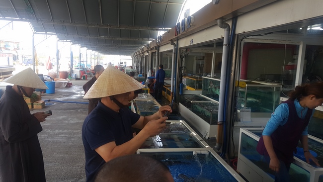 Partake in the Vesak Ceremony at Yonggungsa Cham Joeun Uri Temples